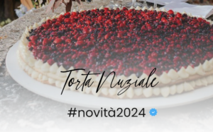 Novità 2024…Fruit cake!